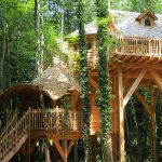Une cabane dans les arbres au milieu d'une forêt.